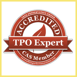 TPO Expert