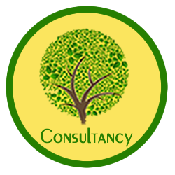 Consultancy