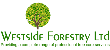 Westside Forestry Limited