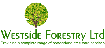 Westside Forestry Ltd